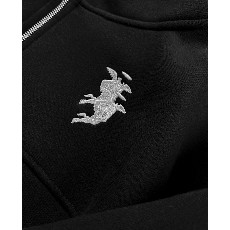 Embroidery Graphic Streetwear  - Women'S Fashion Zip Hoodie recension och pris